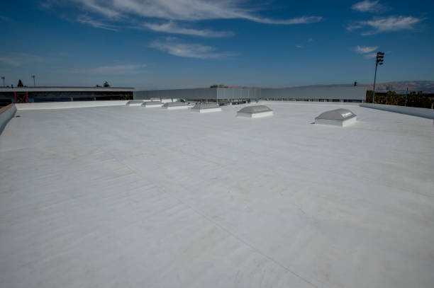 Best Chimney Flashing Repair  in Hazel Park, MI