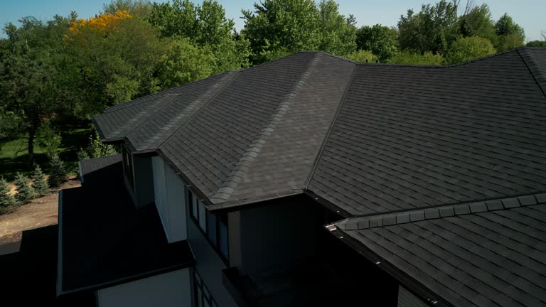 Best Sheet Metal Roofing  in Hazel Park, MI