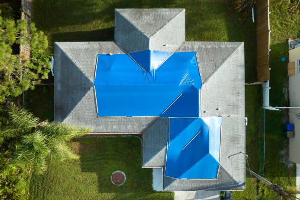 Best Rubber Roofing (EPDM, TPO)  in Hazel Park, MI