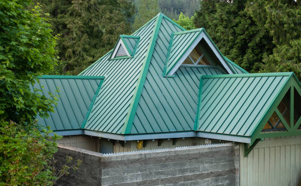 Best Roof Maintenance and Cleaning  in Hazel Park, MI