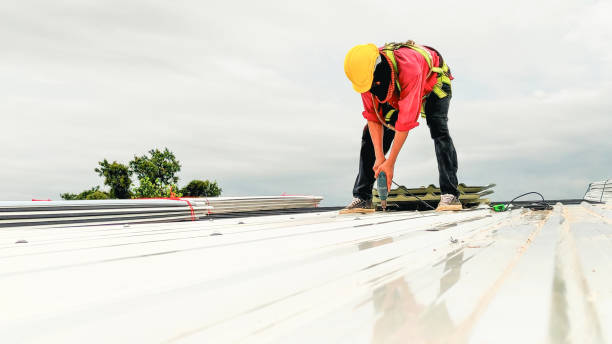 Best Roof Leak Repair  in Hazel Park, MI