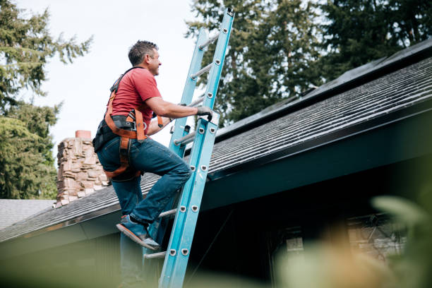 Best Metal Roofing Installation  in Hazel Park, MI