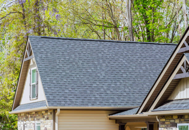 Best Roof Moss and Algae Removal  in Hazel Park, MI