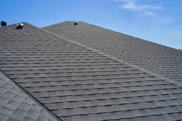 Best Roof Coating and Sealing  in Hazel Park, MI