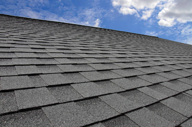 Best Hot Roofs  in Hazel Park, MI