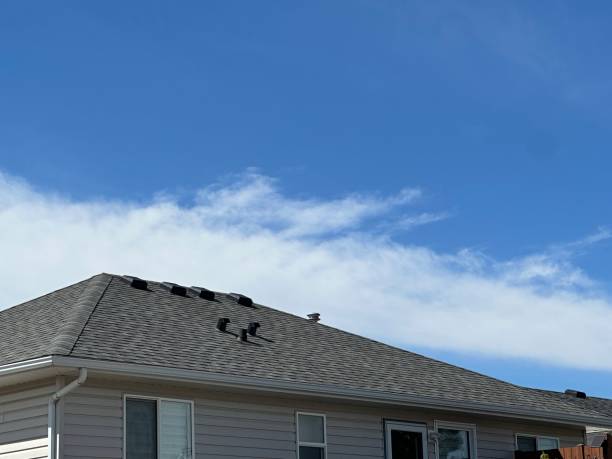 Best Commercial Roofing Services  in Hazel Park, MI