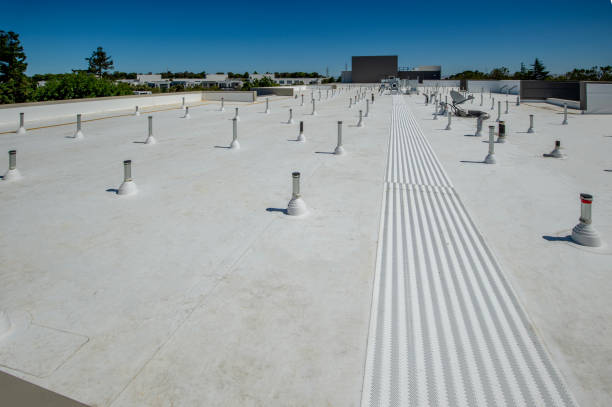 Best Roof Maintenance and Cleaning  in Hazel Park, MI